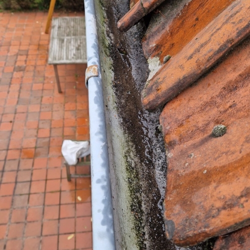 52D56A02 D77C 499D A712 4021044186E9 1 105 C