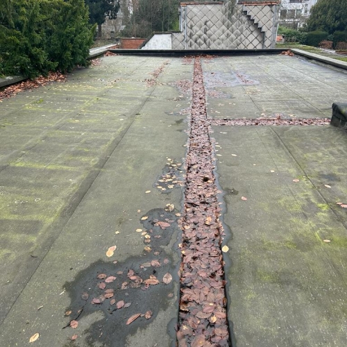 52F4D9DF 9235 4306 96CA 88D1CE7CED01