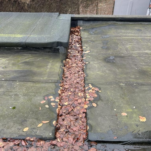 9185AEC5 0BA0 4AD5 BD3E 2E7BD0AA8C43